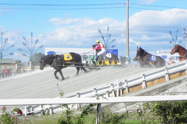 世界で唯一の「ばんえい競馬」